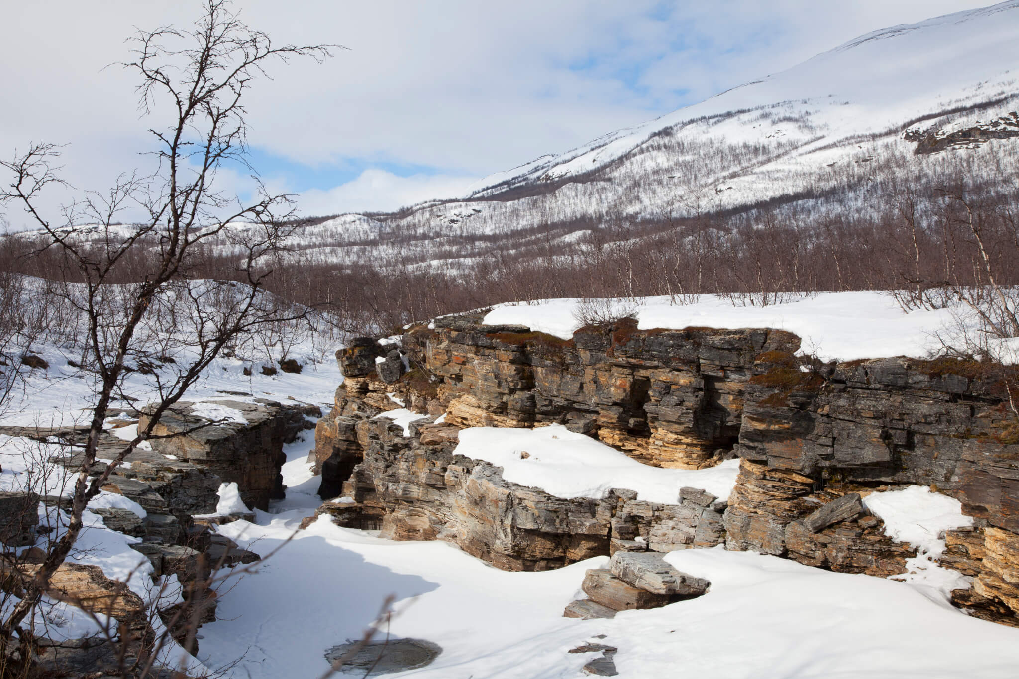 Hiking in Abisko – Abisko Mountain Lodge