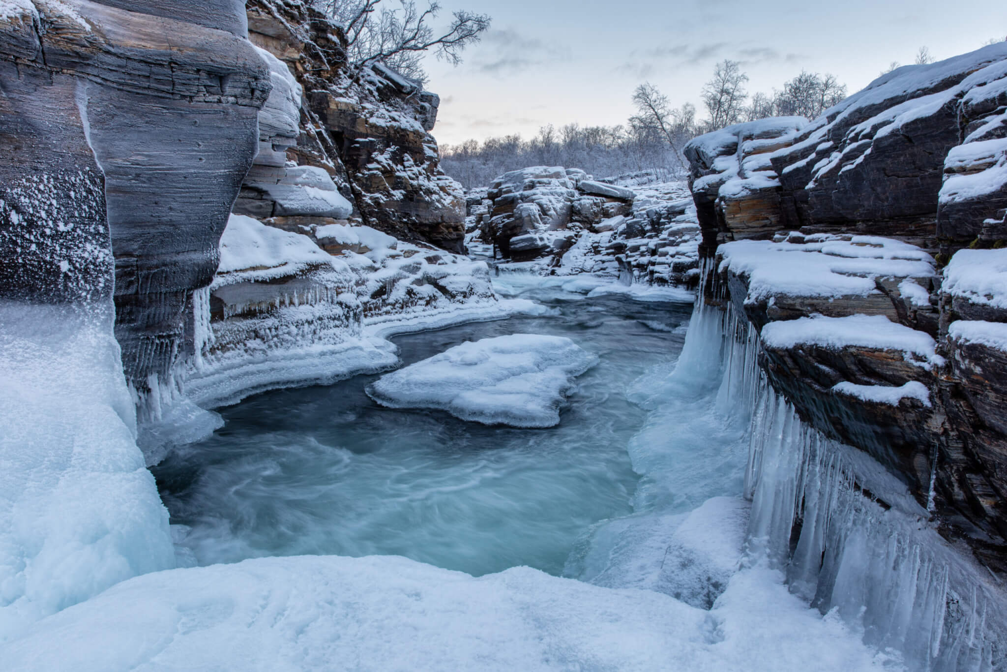 Abisko National Park Hiking Tour