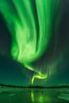 aurora adventure portrait 3