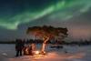 aurora adventure