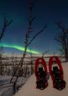 Aurora Snowshoeing Abisko 1